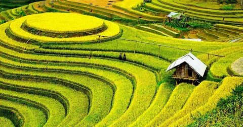 9 lý do nên sử dụng giấm trắng khi giặt quần áo